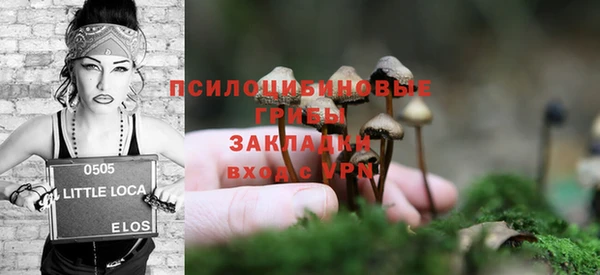 PSILOCYBIN Лиски